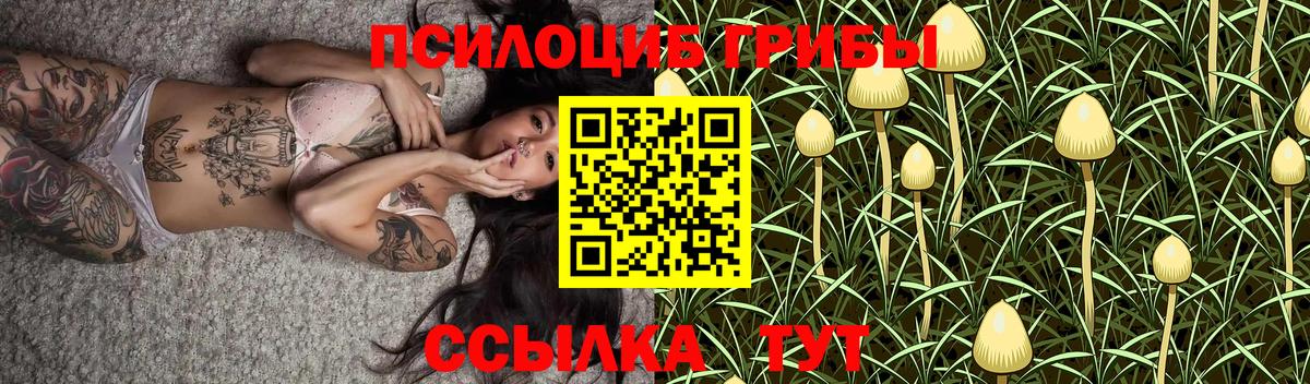 Псилоцибиновые грибы MAGIC MUSHROOMS Сухой Лог