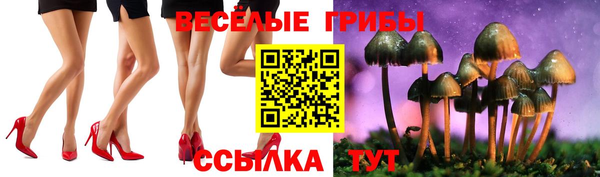 Сухой Лог  Галлюциногенные грибы мухоморы  Вход с VPN  Псилоцибиновые грибы мицелий 